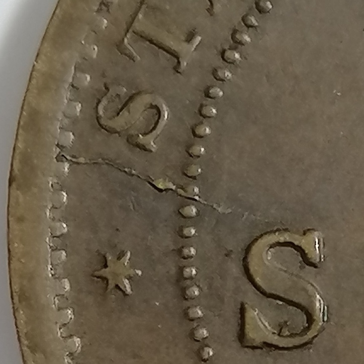 sena coins